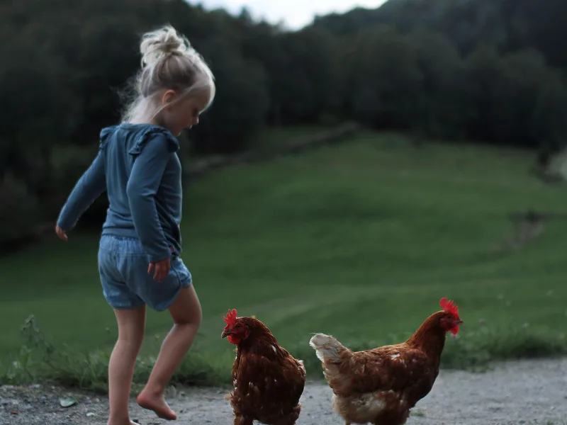 Trygt og godt liv i Fjordane